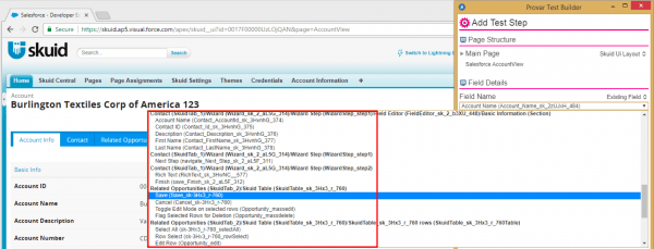 Image shows mapping pages and fields being recognized automatically.